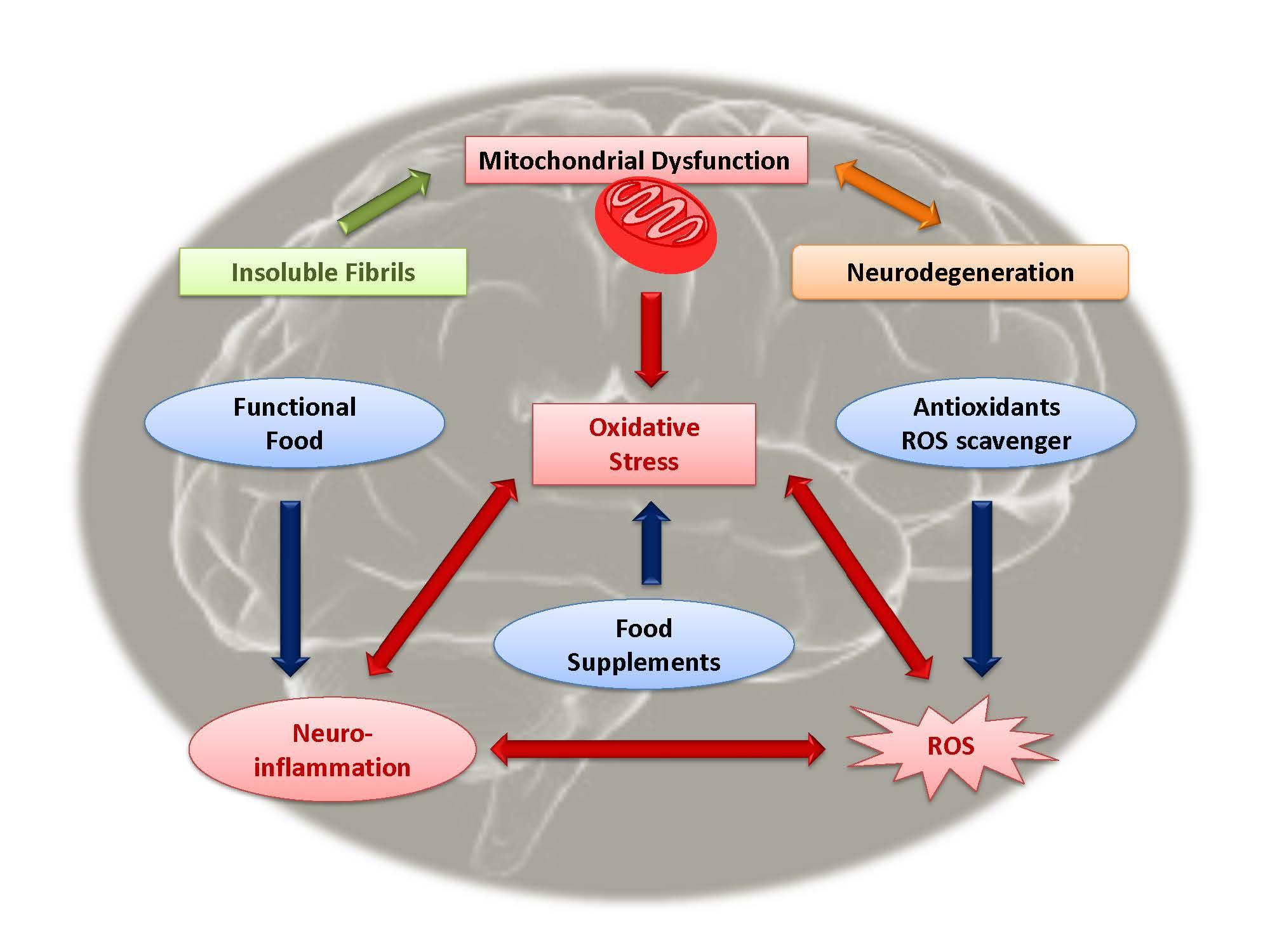 Biomolecules | Free Full-Text | Role of Dietary Supplements in the ...