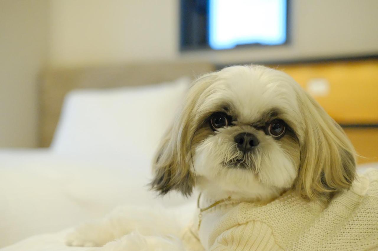 Dog-Friendly - Deluxe Twin Room - Non-Smoking (For One Dog)