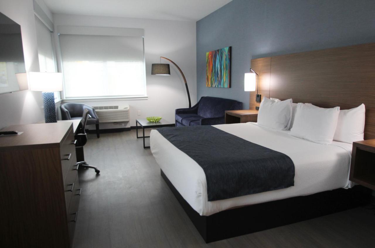 Hayward Building Pet Friendly King with Sofa Bed