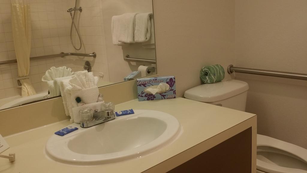 Double Room with Two Double Beds