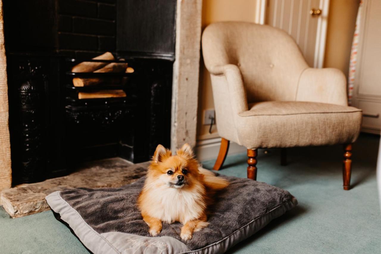 Courtyard Double – Dog friendly on request – Contact Property before to check availability