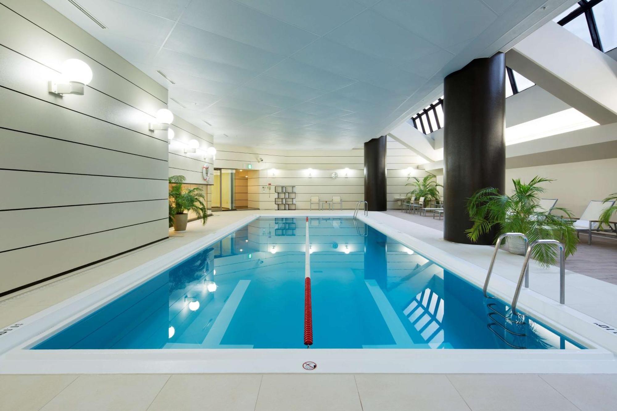 Habitación King Hilton