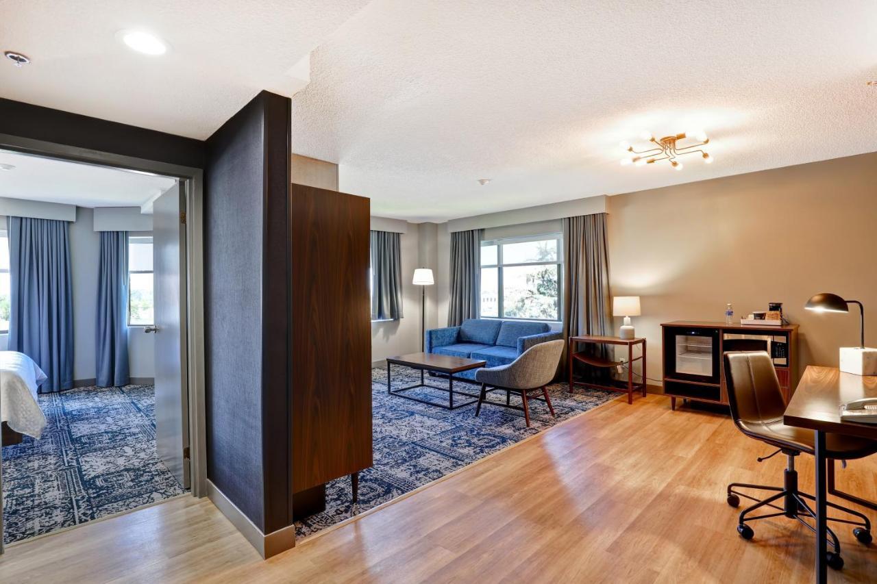 Larger Suite, 1 King, Sofa bed