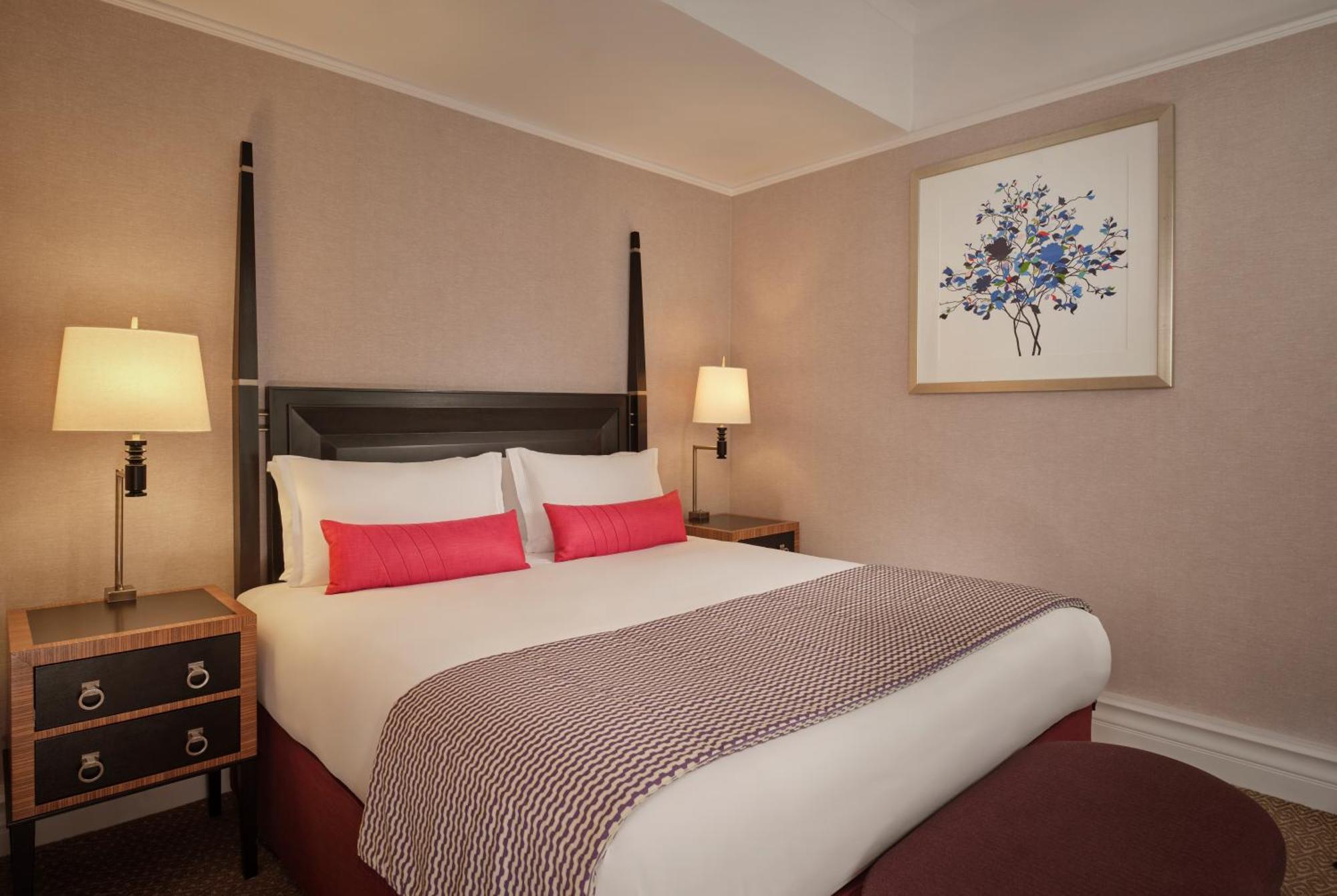 Junior Suite, 1 King, Sofa bed,1535651356:JPEG