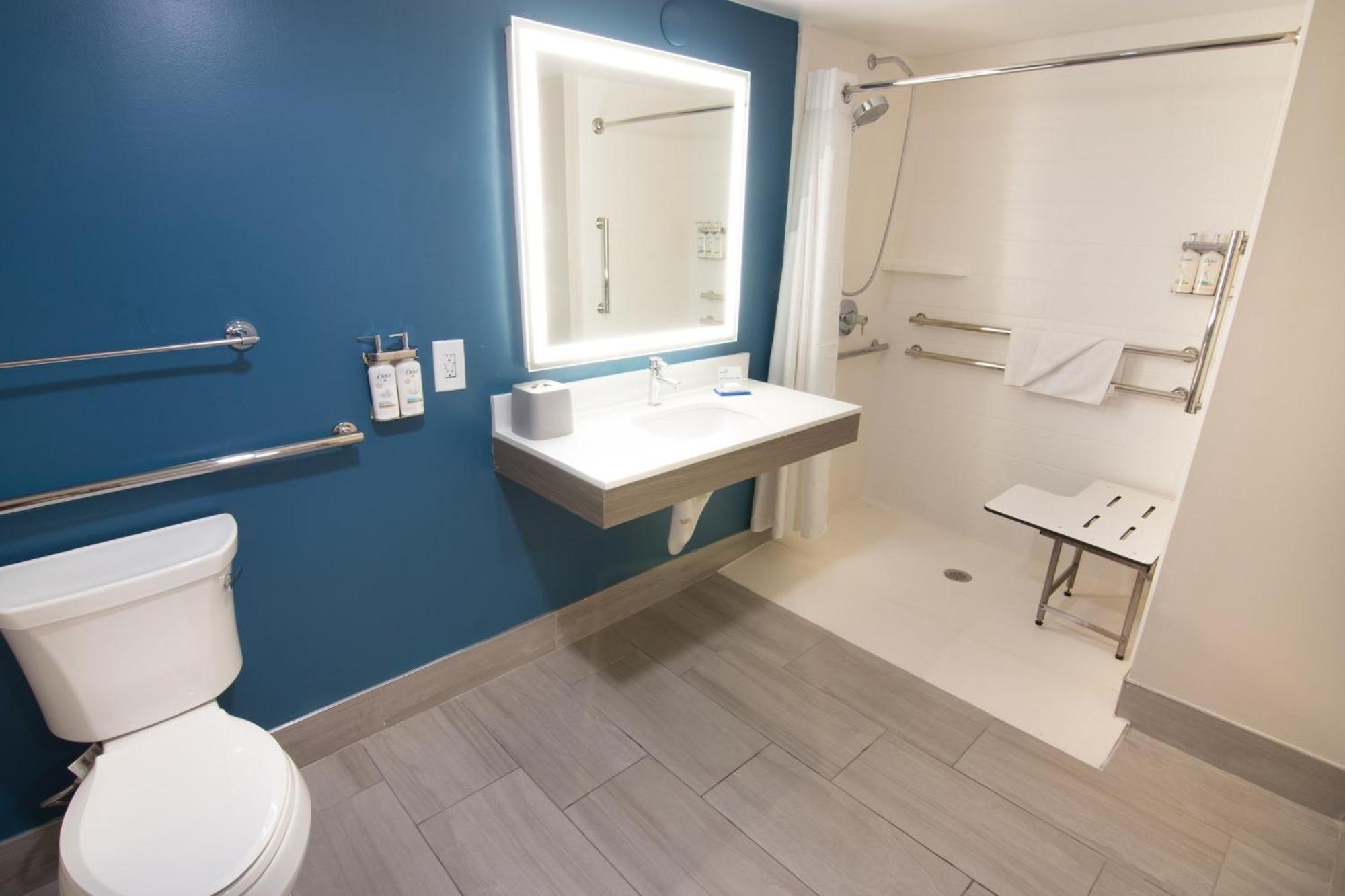 Standard King Room Mobility Accessible Roll Shower