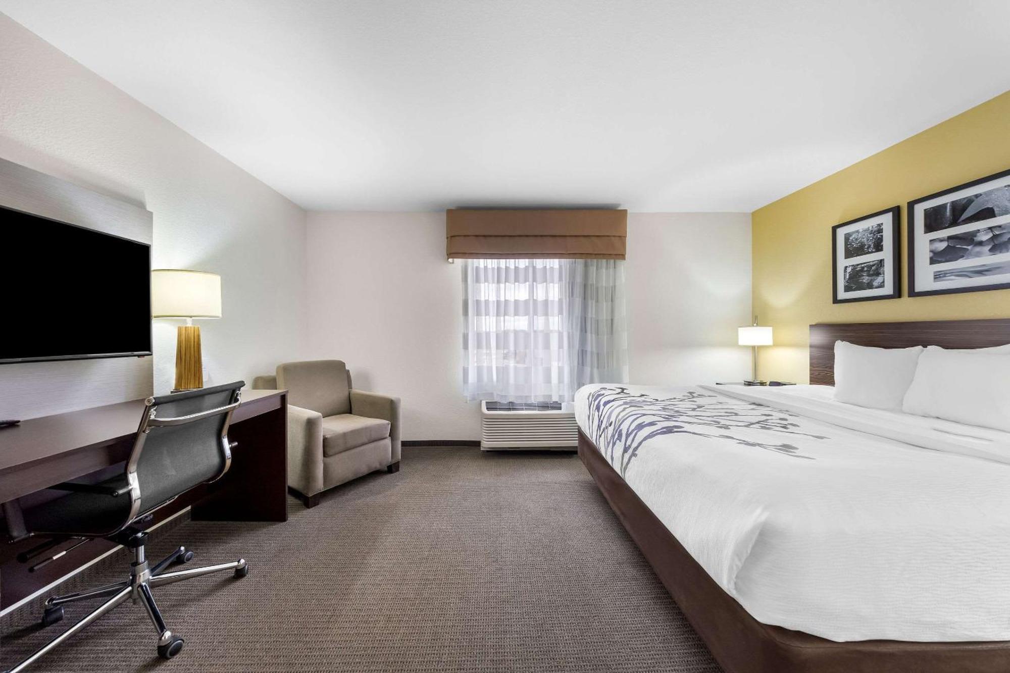 King Room,1646934698:JPEG