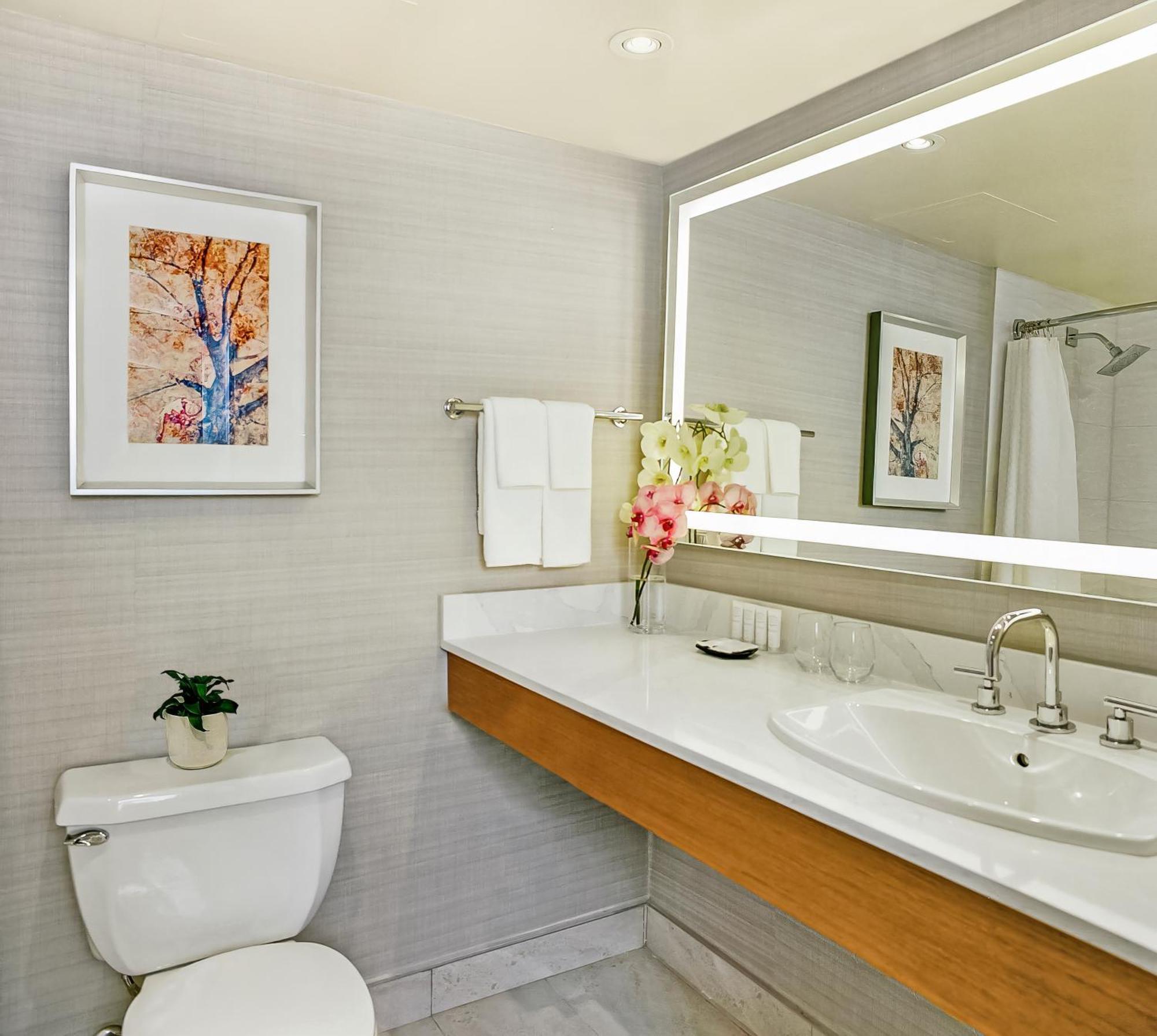 Habitación Estándar - Cama extragrande