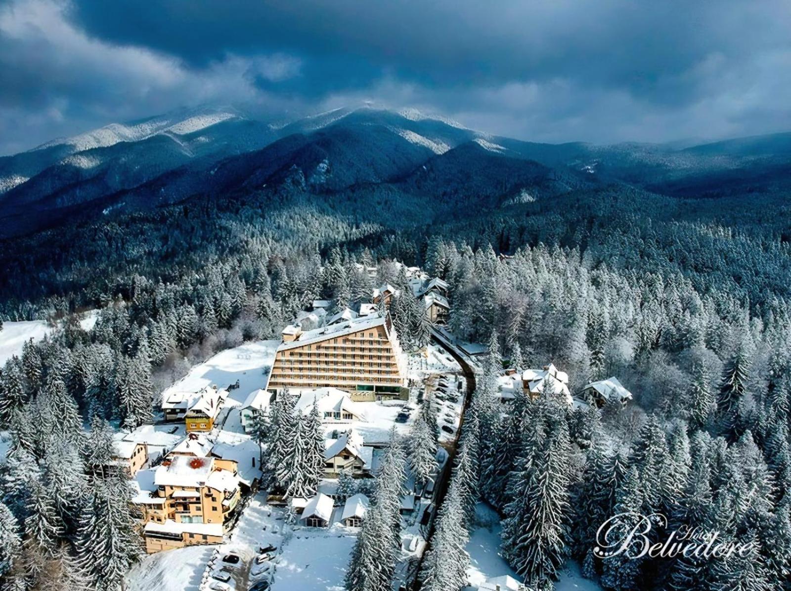 Standard Twin Room Mountain View