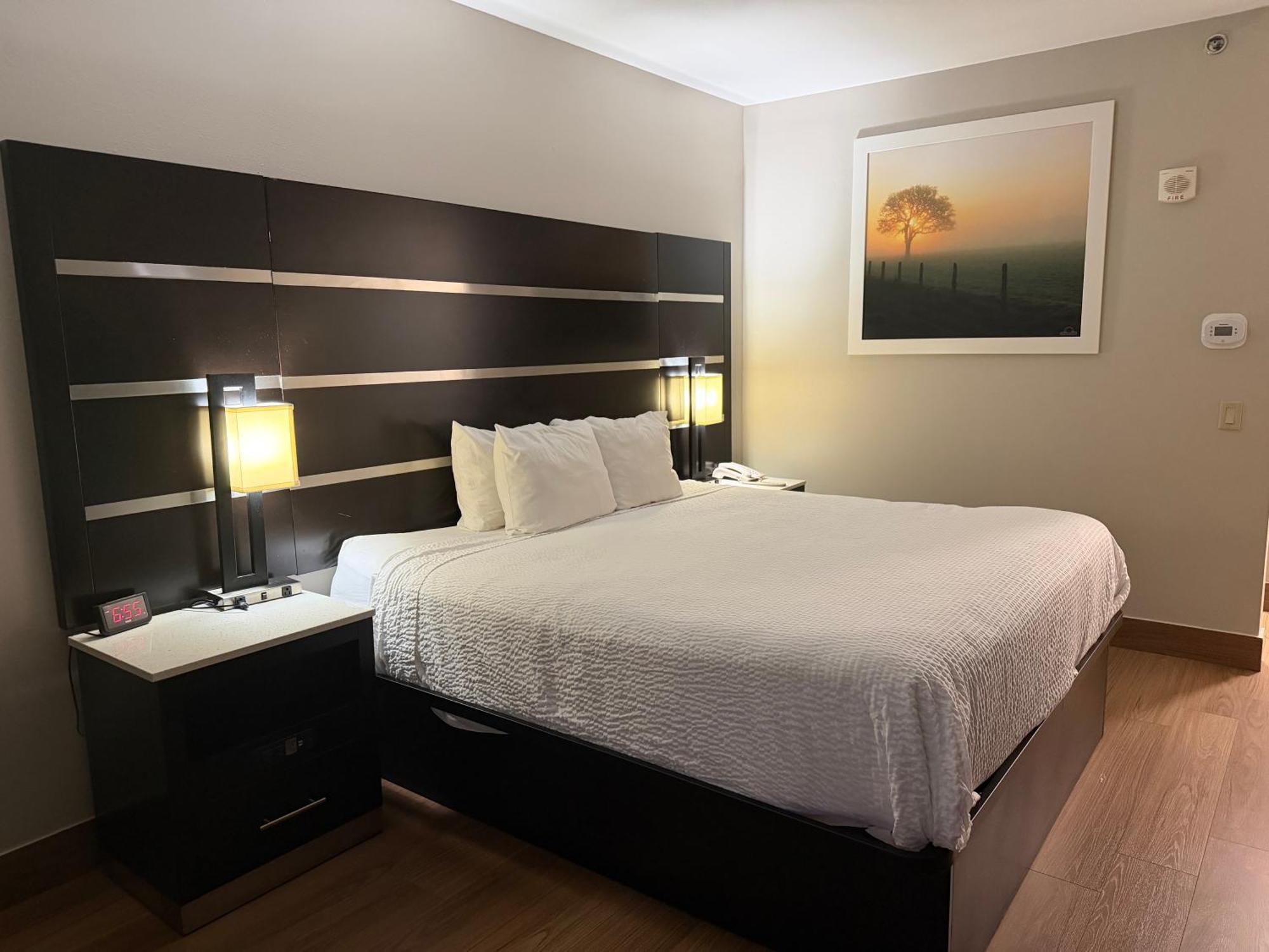 Deluxe King Room - Smoking