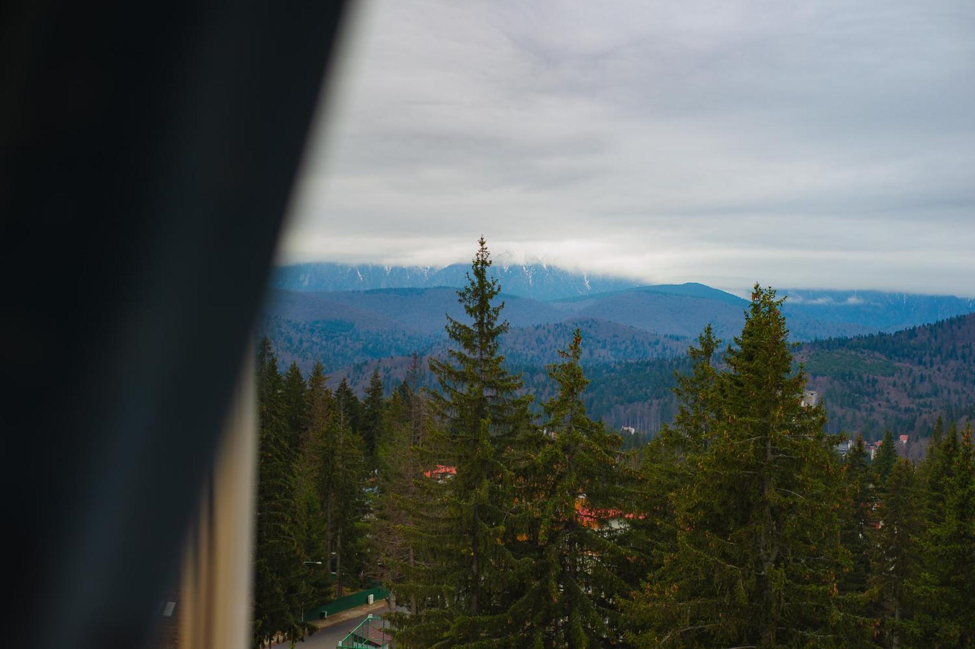 Standard Twin Room Mountain View