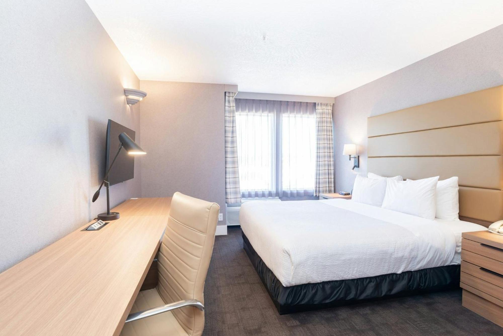 Standard Room 1 King Bed