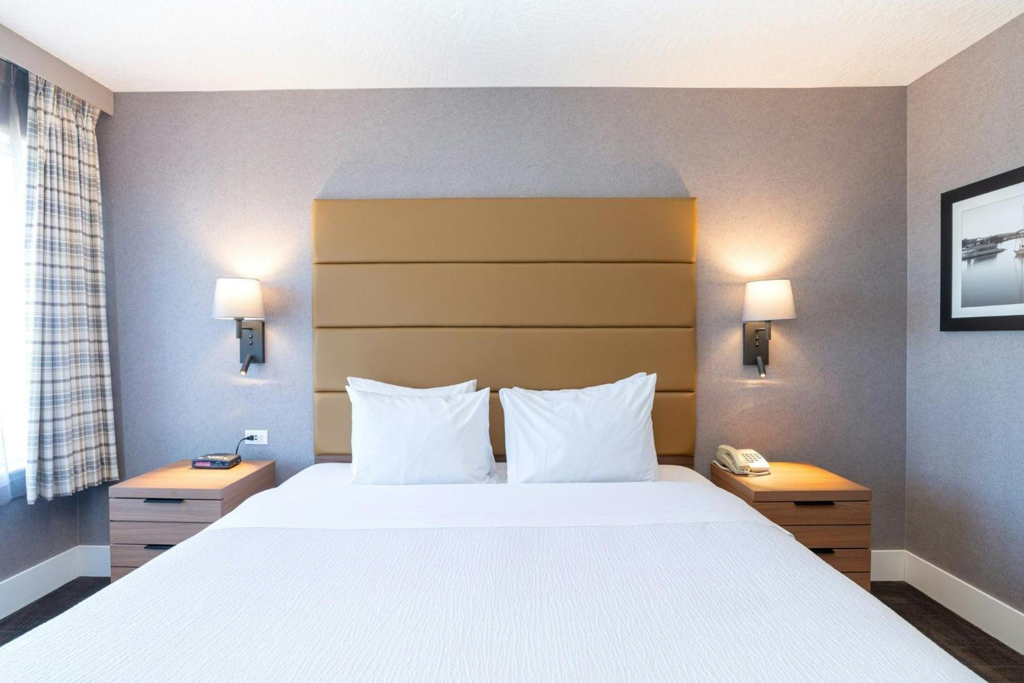 Standard Room 1 King Bed