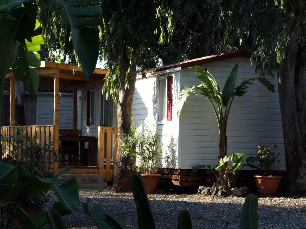 Mobile Home