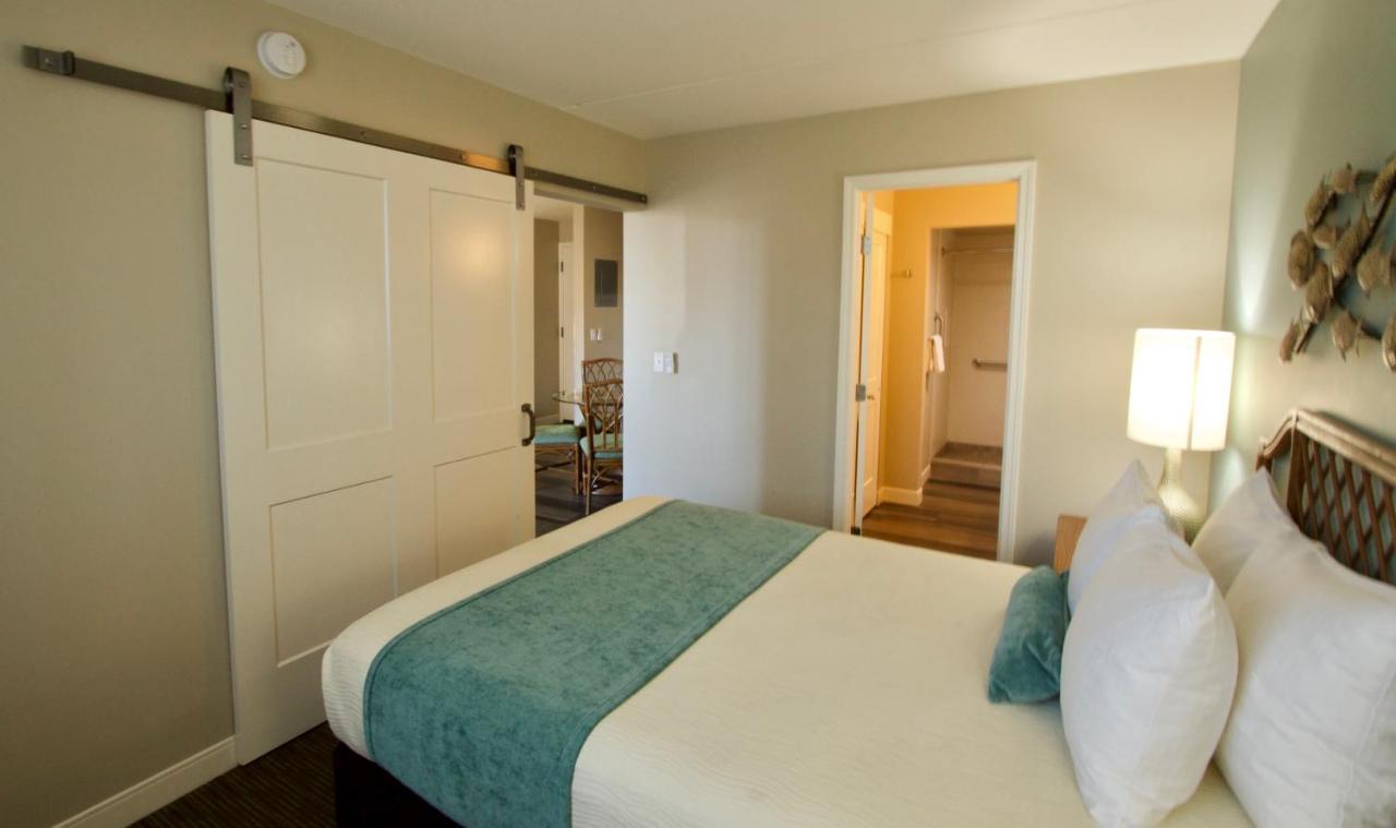 One-Bedroom Apartment,996868995:JPEG