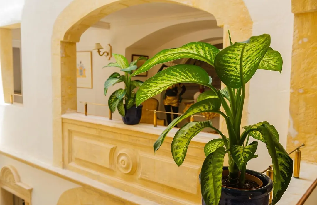 Casa Rocca Piccola B&B-1