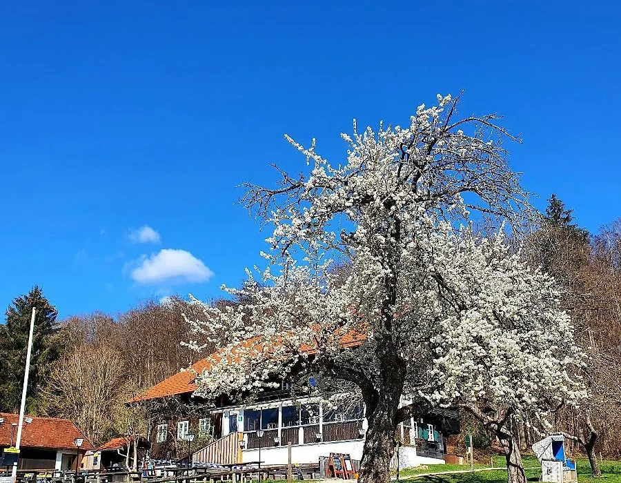 Schatzbergalm Pension-1