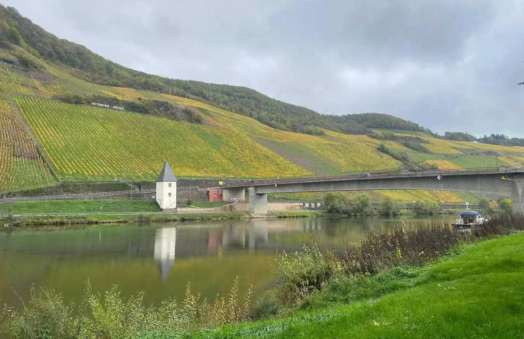Hotel Krone Riesling-1