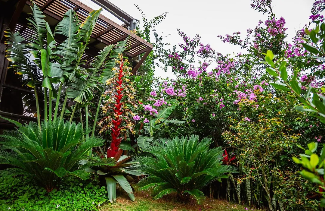 Ibiraquera Life-1