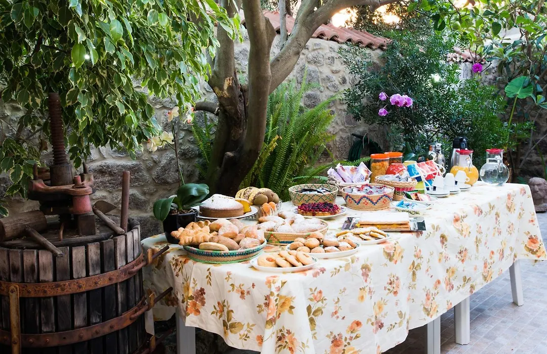 B&B L'Albero Dei Limoni-1