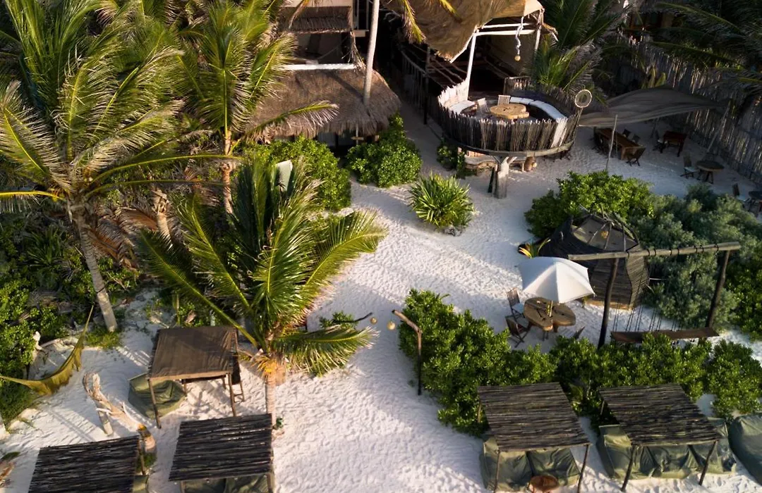 Orchid House Tulum Beach (Adults Only)-1
