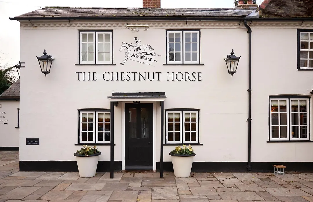 The Chestnut Horse-1