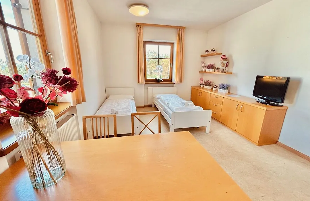 Hotel Corno Bianco-1
