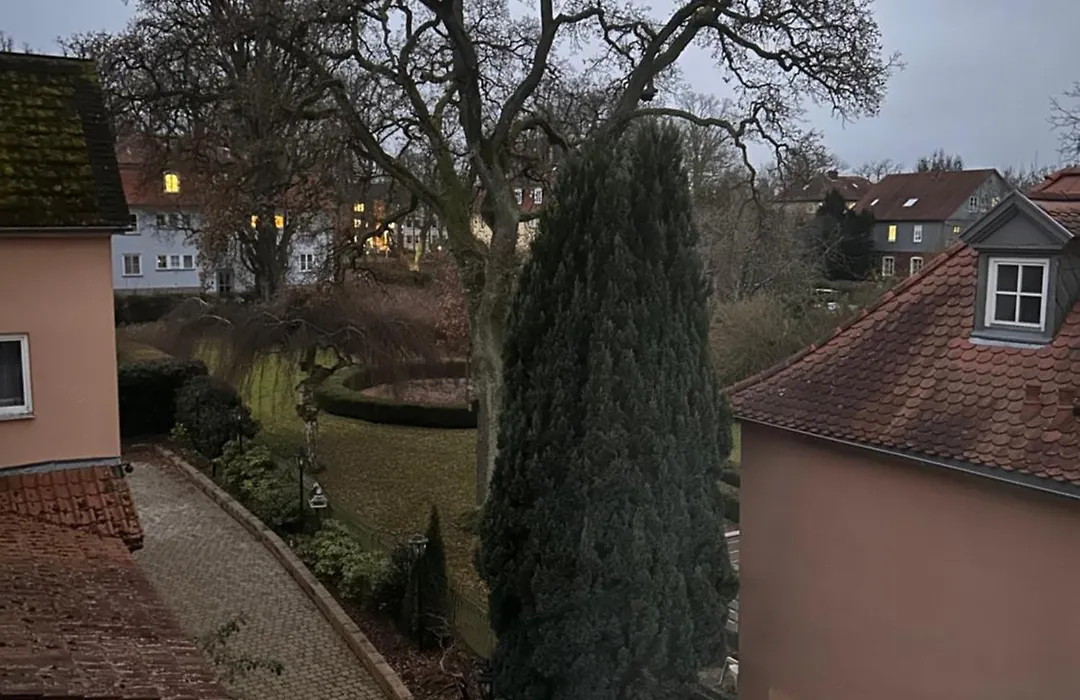 Alte Schlosskurve Hotel&Restaurant-1