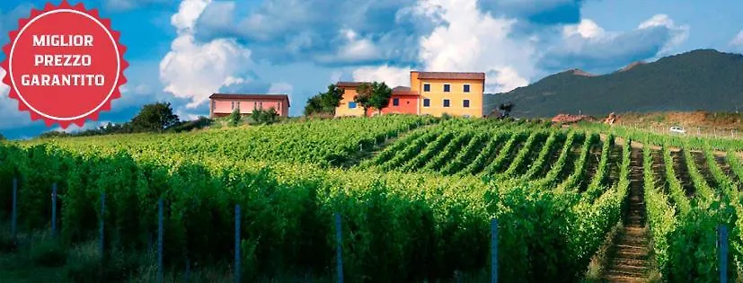 Tenuta Grimaldi Wine Resort-1
