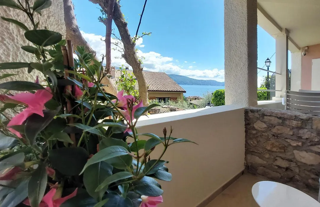 Hotel Villa Europa-1