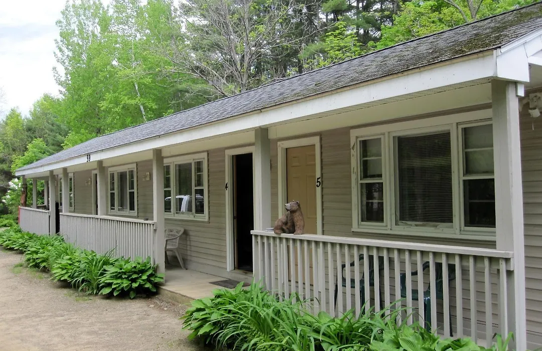 Bear Tree Lodge-1