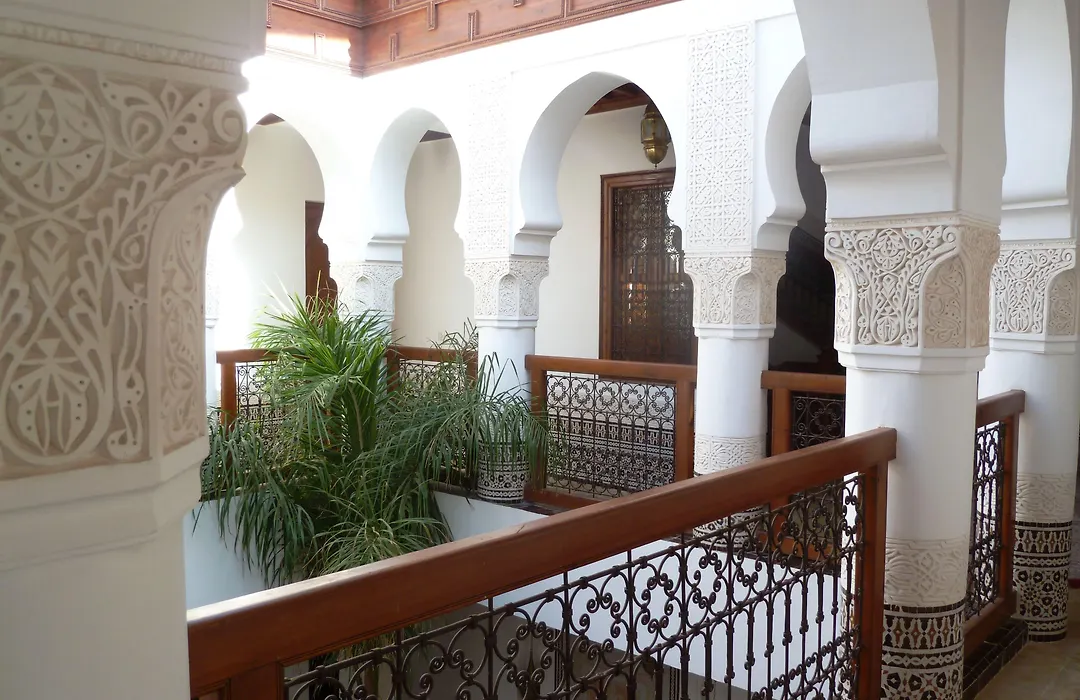 Riad Viva-1