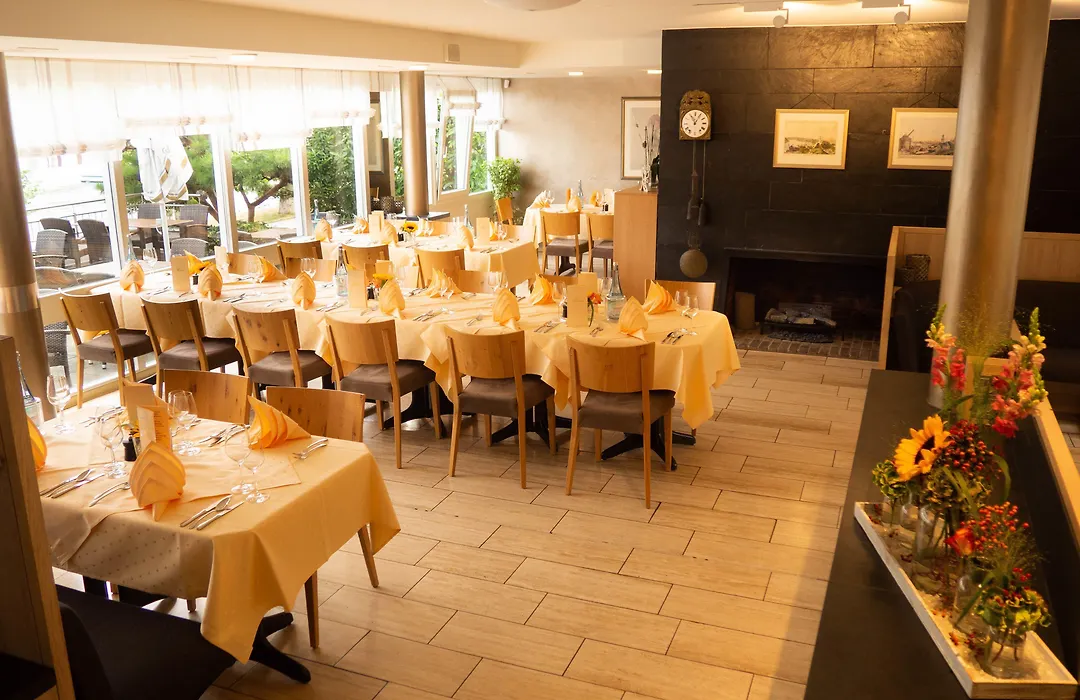 Hotel Villa am Rhein-1