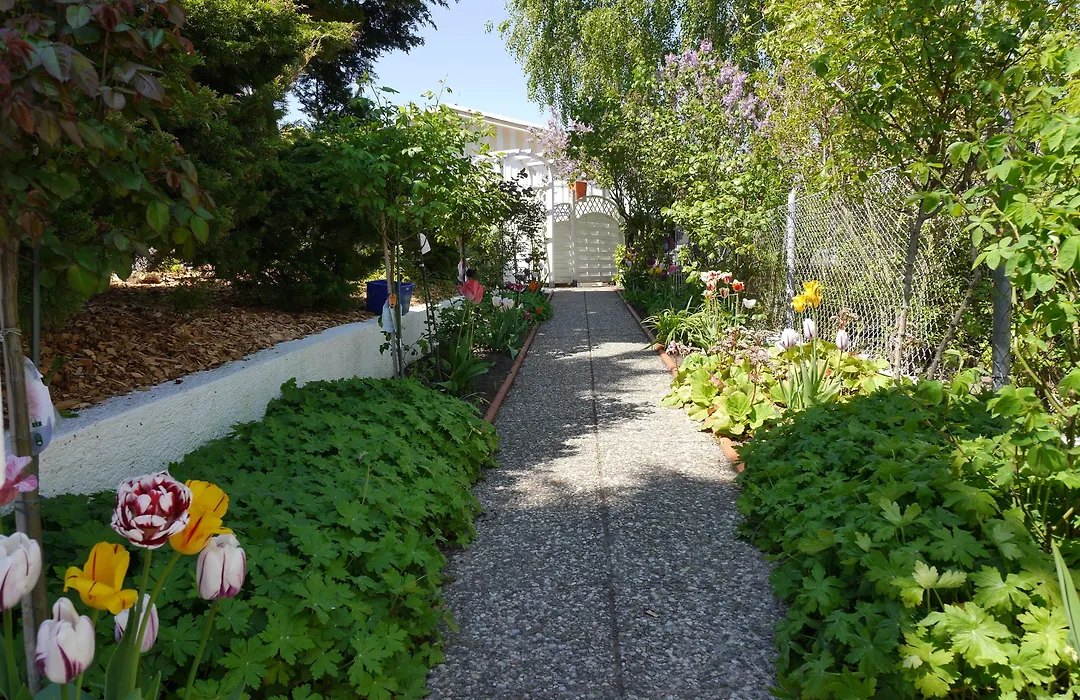 Pension Mittag-1