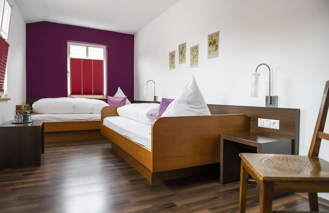 Hotel Baeren-1