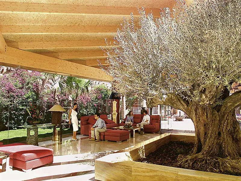 Hotel Palmira Cormoran-1