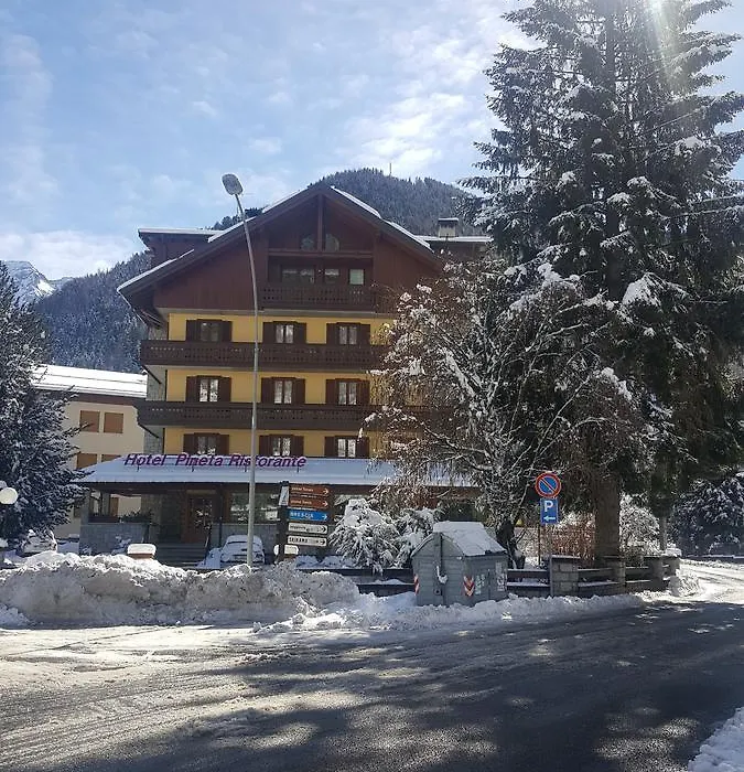 Hotel Pineta-1