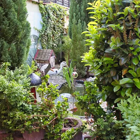 Pension Luisenhof-2