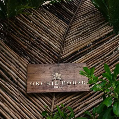 Orchid House Tulum Jungle-3