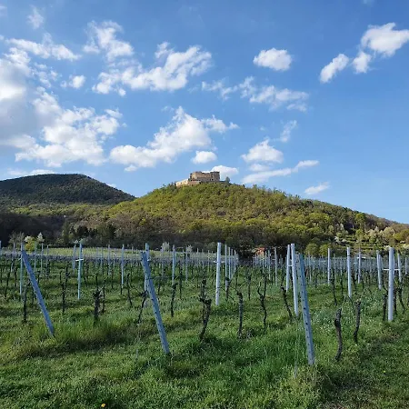 Weinhaus Paradies-3