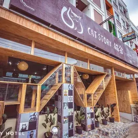 Cat Story Hotel-2