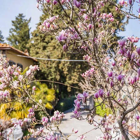 La Magnolia-2