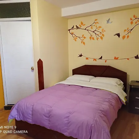 Nature Home Cusco-3