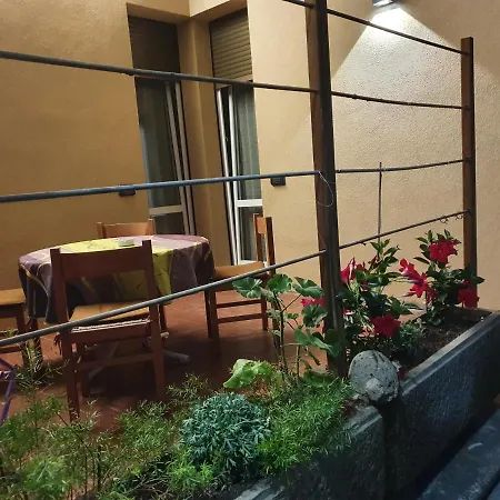 B&B Lori-3