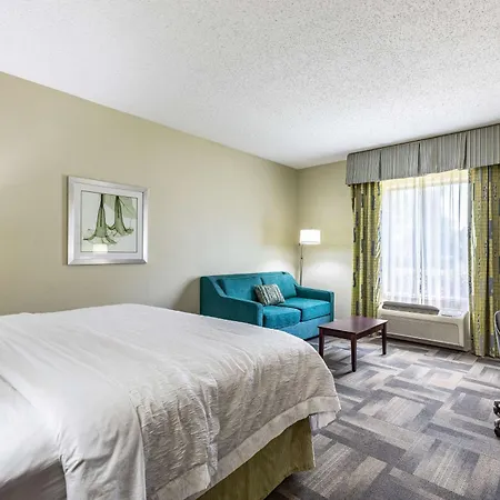 Hampton Inn & Suites Orlando-South Lake Buena Vista-2