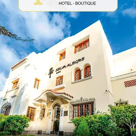 Hotel Boutique Selva Alegre-2