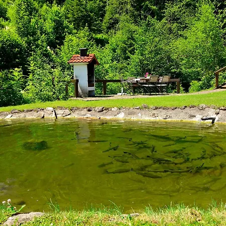 Landhaus Bachtelmühle-2