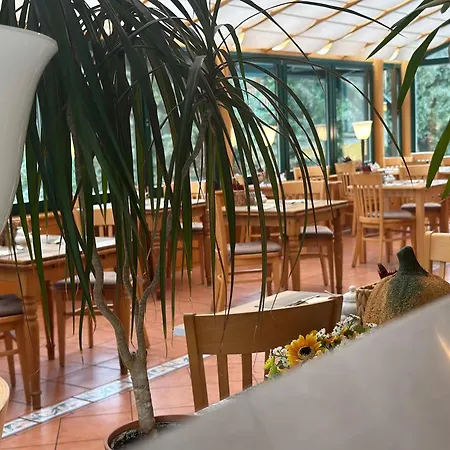 Hotelferienanlage Friedrichsbrunn-3