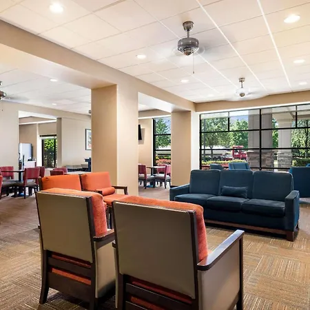 Comfort Suites Northlake-2