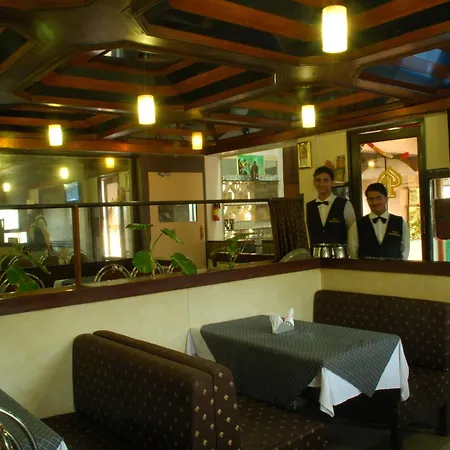 Hotel Golden Palace Pvt Ltd-3