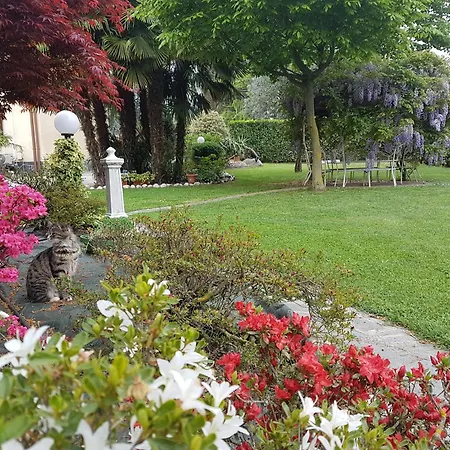 B&B Le Palme-3